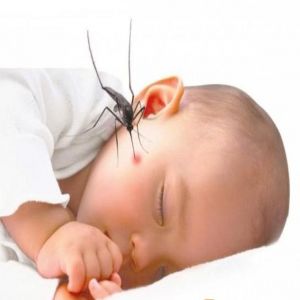 Dấu hiệu nhận biết sốt xuất huyết ở trẻ em